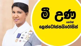 මී උණ හෙවත් Leptospirosis | Pushpa Ramyani De Soysa | - FactMag #leptospirosis