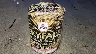 SKYFALL by Sunwing Fireworks 200g 