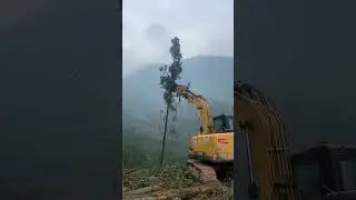 Tree Cutting Process Using Excavator | Smart Technique