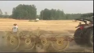 China  8 wheels hay rake working condition