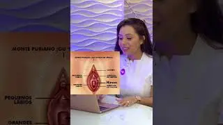 Aonde fica o h&iacute;men e cl&iacute;toris?
