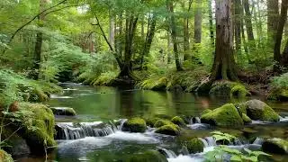 River Sound for Insomnia Sleep Aid | Press Play to Relax Your Mind and Drift Into Deep Sleep Tonight