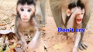 Don't cry baby Vienna ! Vienna feels angry cos mom Violet not allow Vienna follow Cameraman.