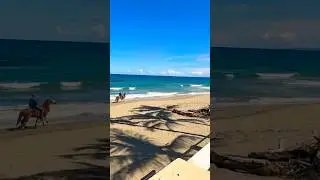 Beachfront!  🌴 1 Bed Condo in Cabarete East $220k #cabaretecondo #beachcondos #cabareterealtor