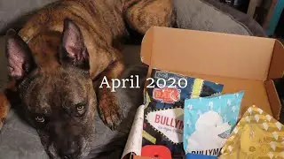BullyMake Box Unboxing || April 2020