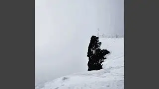 snowyset