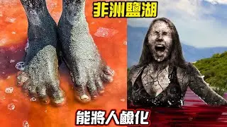 你真的知道鹽的重要性嗎？非洲鹽湖不僅有毒還能將人鹼化！