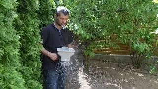 Újrafüvesítés, profi módon