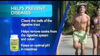 Royale Supplements - Fiberich