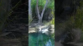 Ubirr, Northern Territory, Australia
