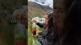 Nutrici&oacute;n port&aacute;til en tus manos 🥤✨