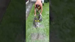 Домашние выдры!! 🦦 (@splashtheotter)