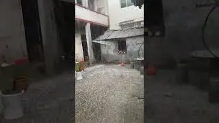 Hailstones Strikes Hubei, China Like Torrential Rain