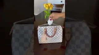#wimb #speedy30 #damierazur #lvspeedy #louisvuitton #lvlover #whatsinmybag #baglover #packwithme