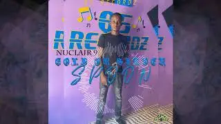Nuclair 9- Gold or Silver Spoon(Audio)