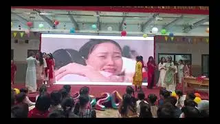 Chương trình Chào năm mới 2024 của trường Tiểu học Phan Chu Trinh