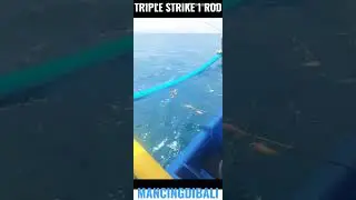 TRIPLE STRIKE 1 ROD #mancingdibali