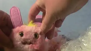 Scream of the Damned