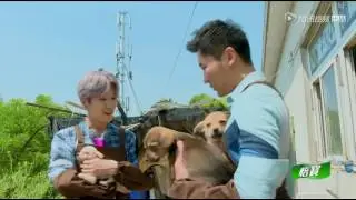 暖到炸！鹿晗抱小奶狗边抚摸边碎碎念可爱死了~