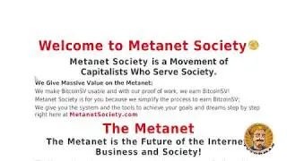 What is Metanet Society  