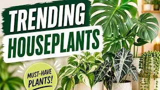 Top 10 Trending Houseplants in 2025