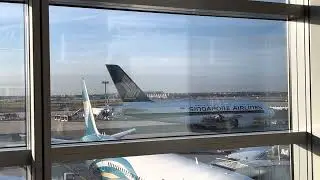 Singapore Airlines A380 [View from LH Lounge Frankfurt]