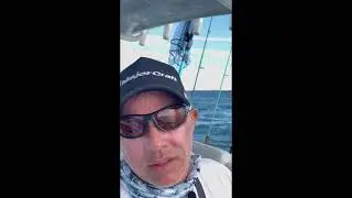 Majorcraft lures catch more fish!