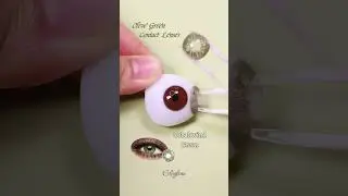 Olive green contact lenses designed for a smooth, understated eye look.