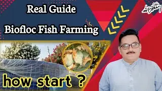 Biofloc Fish Farming Kaise Start Karein?  Training, Setup & Equipment Guide
