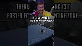 Тайная пасхальная отсылка к коту в карантинной зоне! #quarantinezone #gaming