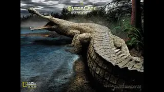 O SUPERCROC