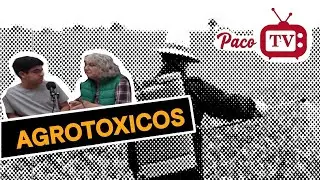Volvemos a decir verdades con Yerm&eacute;n Perazza I Paco TV
