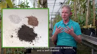 Cuttings: NEP Darwin Initiative Project