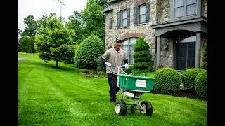 How to prevent crabgrass?