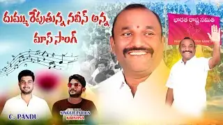 Naveen Anna MLC Mass Song 2024 New Song  | Pandu | Krishna Master | Dj Linga