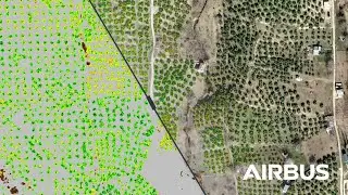Pl&eacute;iades Neo: Delivering 30cm Imagery for A New Era of Geospatial Applications