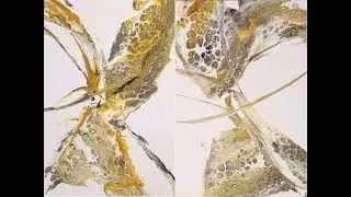 (30) How to do Acrylic Pour in Abstract Way with Sandra Lett  122017