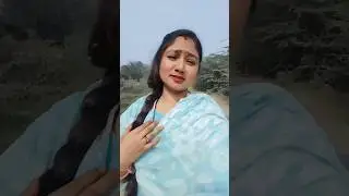ham To Bhai Jaise Hain #viralvideo #song #trending #love #shortsongs