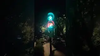 Traffic Light Dance Party! Learn Moves on Red, Yellow, Green