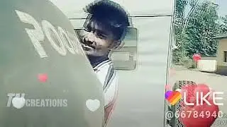 New WhatsApp cuTe   status videos (TN CreaTion)