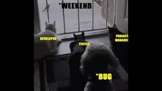 Programming Bugs Funny Scene