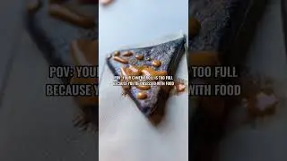 PHONE EATS FIRST!!