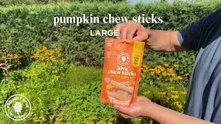 Pumpkin Hive Chew Stick Treats - vegetarian dental dog treats for medium/large dogs