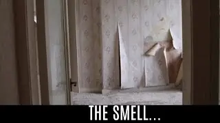 That First Week at Pomathorn Station