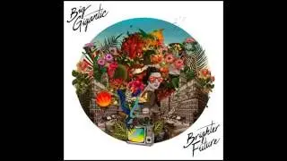 Brighter Future - Big Gigantic (ft. Naaz)