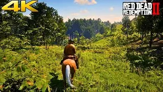RDR2 Relaxing Ambient Walk | 4K Ultra Max Graphics / ريد ديد ردمشين 2 عرض رسومات واقعية]