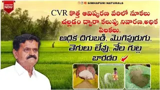 CVR శక్తి-వరి లో నూకల ద్వారా కలుపు నివారణ, అధిక దిగుబడి. వరిలో సేంద్రీయ పద్ధతి ద్వారా కలుపు నివారణ 