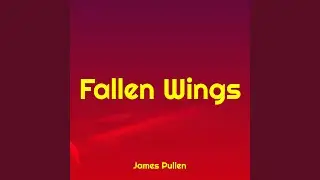Fallen Wings