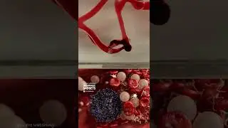 Этот микро-&laquo;робот&raquo; растворяет сгустки крови.