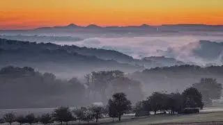 Golden Sunrise Through the Mist | Peaceful Nature Scene to Relieve Stress